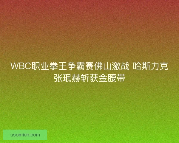 WBC职业拳王争霸赛佛山激战 哈斯力克张珉赫斩获金腰带